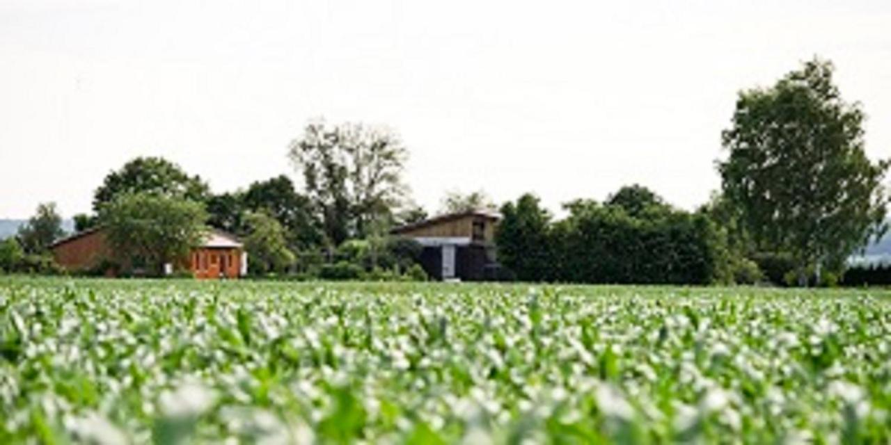 Hofheim in Unterfranken Demeterhof Duenninger 아파트 외부 사진